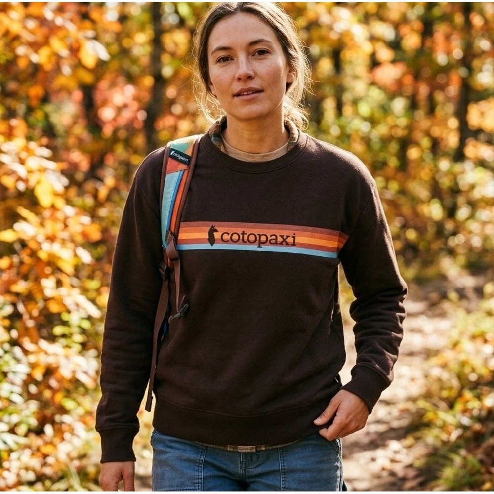 Cotopaxi On The Horizon Crew Sweatshirt Womens M Brown Retro Stripe Pullover